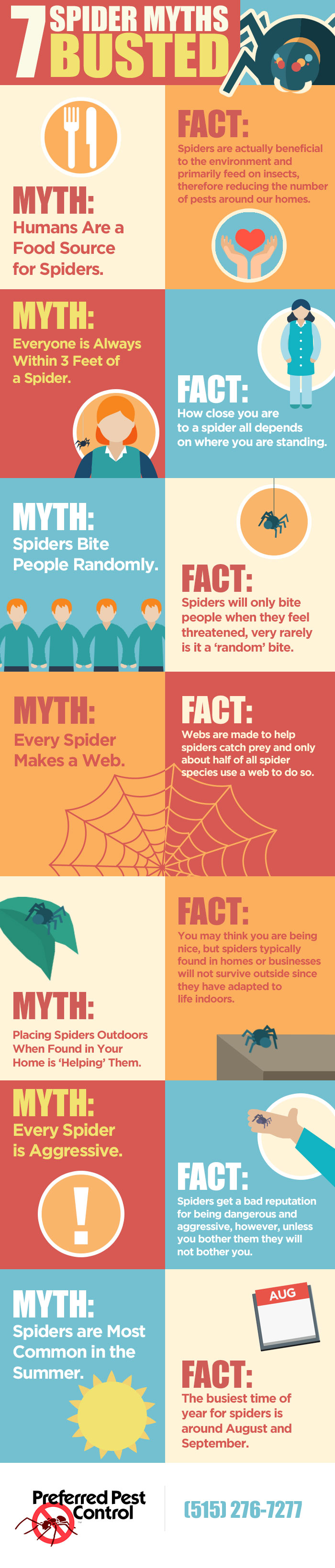 7 Spider Myths Busted (Infographic)