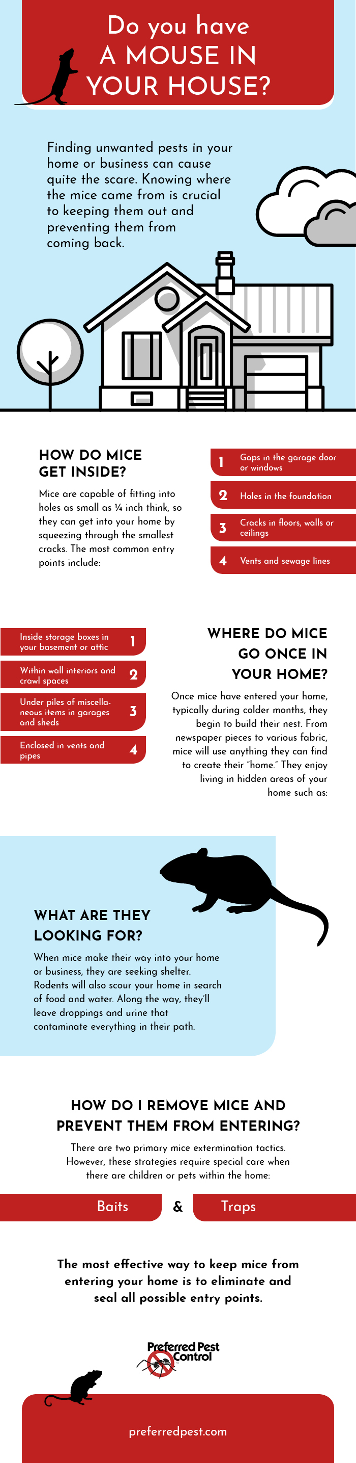 How to Remove Mice From Your Garage
