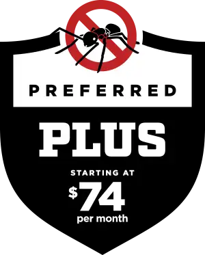 preferred plus service plan icon